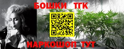 МДПВ Лесосибирск