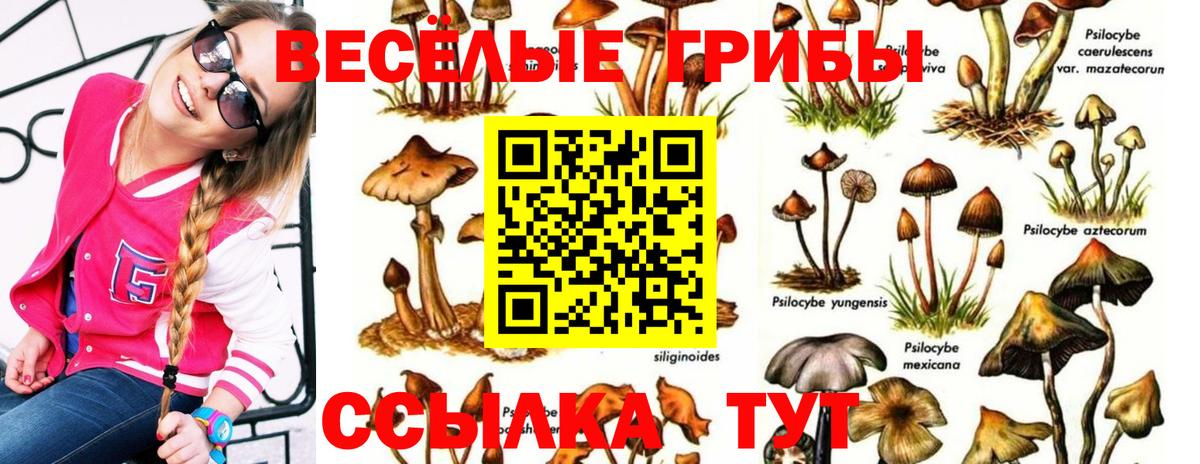 Кондопога  Галлюциногенные грибы ЛСД  Вход с VPN 